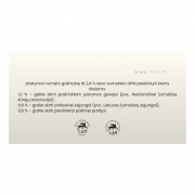 Plakato aut. Aida Vėželienė